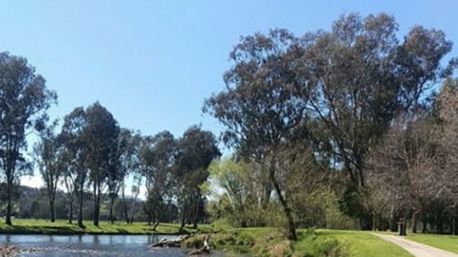 Amaroo Motel Tumuts Best Accommodation Amenities photo